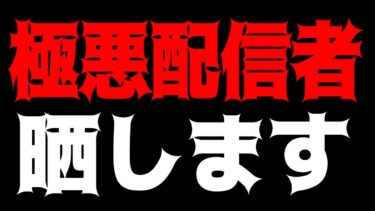 【メガニケ】注意！極悪すぎるNIKKE配信者がいたので晒します【勝利の女神：NIKKE】