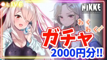 【勝利の女神NIKKE】ガチャ回します‼アインが出るor20000円分‼あああああ心臓ドキドキ❤【Vtuberはにーらびっと】