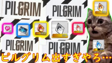 ツバイが欲しかっただけなのに…【NIKKEガチャ】